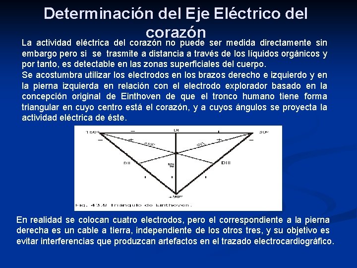 Determinación del Eje Eléctrico del corazón La actividad eléctrica del corazón no puede ser