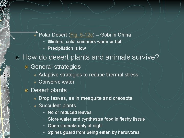 l Polar Desert (Fig. 5 -12 c) – Gobi in China • Winters, cold; l Polar Desert (Fig. 5 -12 c) – Gobi in China • Winters, cold;