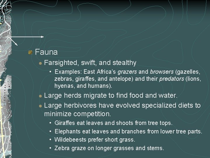 Fauna l Farsighted, swift, and stealthy • Examples: East Africa’s grazers and browsers (gazelles,