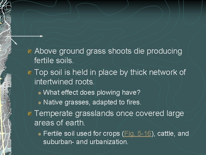 Above ground grass shoots die producing fertile soils. Top soil is held in place