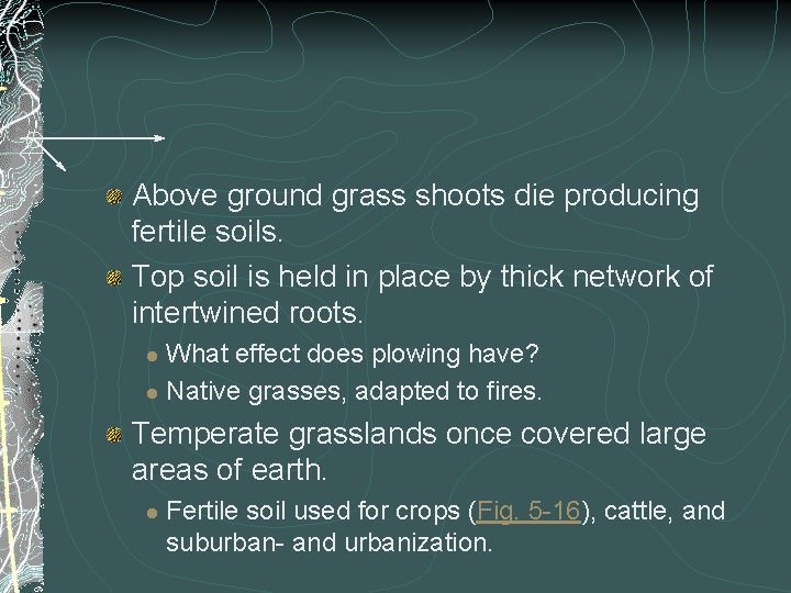 Above ground grass shoots die producing fertile soils. Top soil is held in place Above ground grass shoots die producing fertile soils. Top soil is held in place