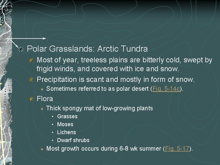 Polar Grasslands: Arctic Tundra Most of year, treeless plains are bitterly cold, swept by