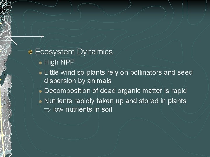 Ecosystem Dynamics High NPP l Little wind so plants rely on pollinators and seed