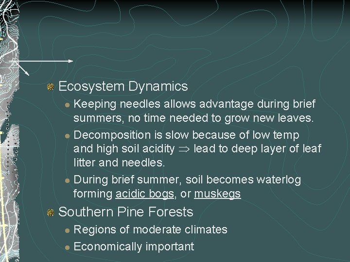 Ecosystem Dynamics Keeping needles allows advantage during brief summers, no time needed to grow