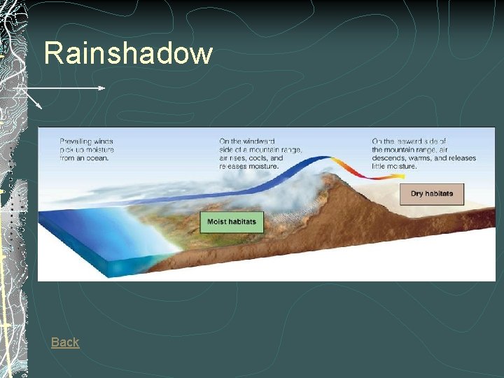 Rainshadow Back Rainshadow Back