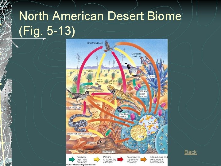 North American Desert Biome (Fig. 5 -13) Back North American Desert Biome (Fig. 5 -13) Back