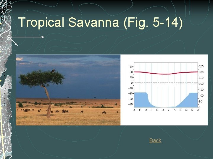 Tropical Savanna (Fig. 5 -14) Back 