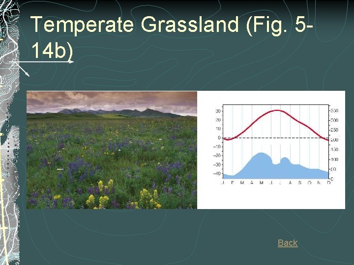 Temperate Grassland (Fig. 514 b) Back Temperate Grassland (Fig. 514 b) Back