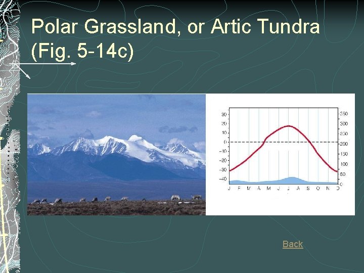 Polar Grassland, or Artic Tundra (Fig. 5 -14 c) Back Polar Grassland, or Artic Tundra (Fig. 5 -14 c) Back