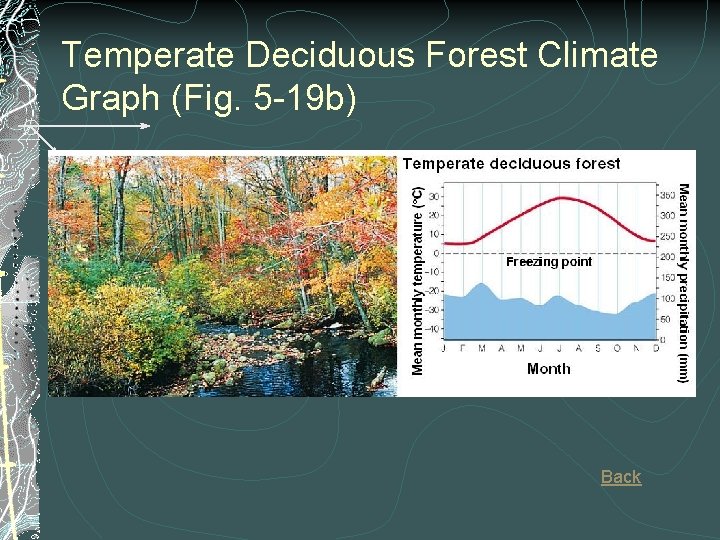 Temperate Deciduous Forest Climate Graph (Fig. 5 -19 b) Back Temperate Deciduous Forest Climate Graph (Fig. 5 -19 b) Back
