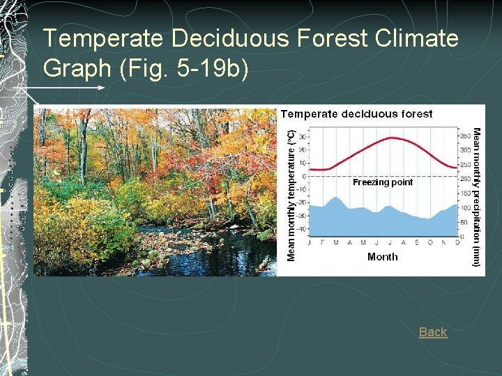 Temperate Deciduous Forest Climate Graph (Fig. 5 -19 b) Back 