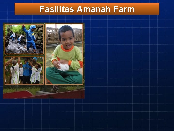 Fasilitas Amanah Farm 
