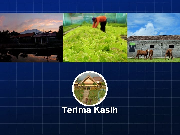 Terima Kasih 
