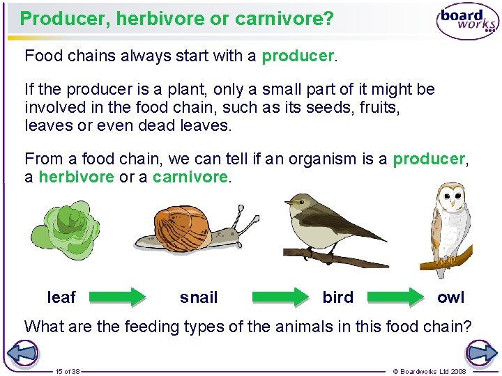 Producer, herbivore or carnivore? Food chains always start with a producer. If the producer