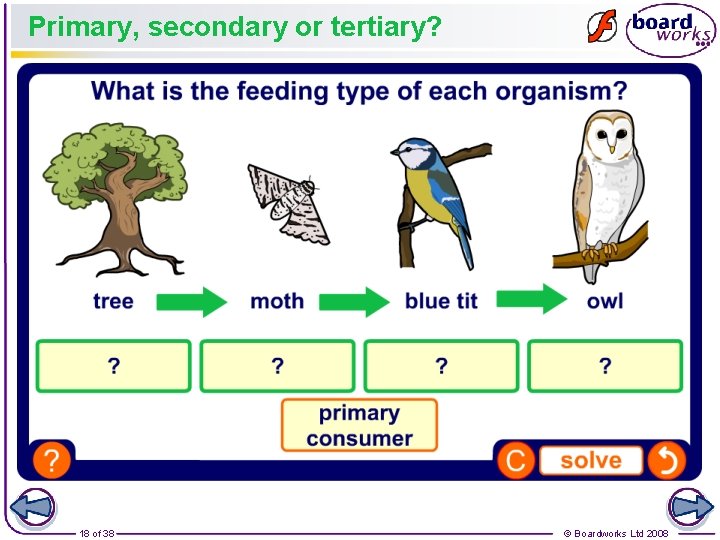 Primary, secondary or tertiary? 18 of 38 © Boardworks Ltd 2008 