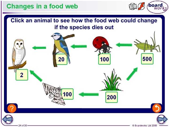 Changes in a food web 24 of 38 © Boardworks Ltd 2008 