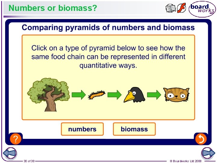 Numbers or biomass? 30 of 38 © Boardworks Ltd 2008 