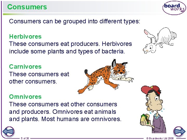 Consumers can be grouped into different types: Herbivores These consumers eat producers. Herbivores include
