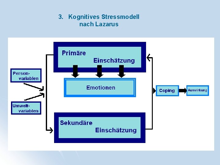 3. Kognitives Stressmodell nach Lazarus 