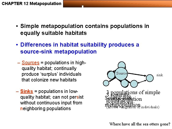 CHAPTER 12 Metapopulation Population ecology • Simple metapopulation contains populations in equally suitable habitats