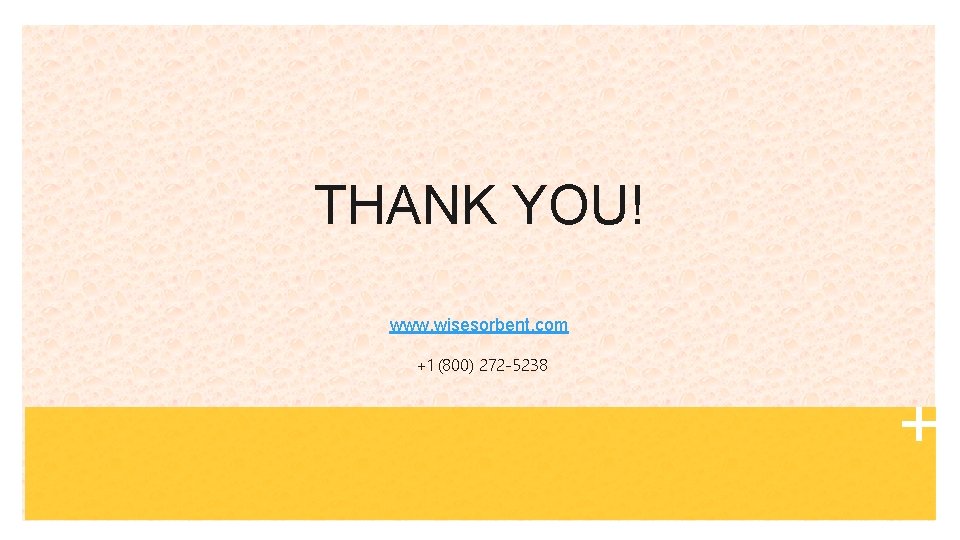 THANK YOU! www. wisesorbent. com +1 (800) 272 -5238 