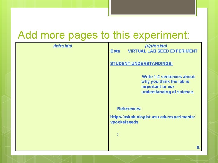 Add more pages to this experiment: (left side) Date (right side) VIRTUAL LAB SEED
