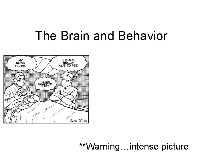 The Brain and Behavior **Warning…intense picture The Brain and Behavior **Warning…intense picture