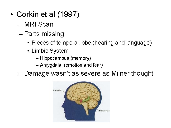 • Corkin et al (1997) – MRI Scan – Parts missing • Pieces • Corkin et al (1997) – MRI Scan – Parts missing • Pieces
