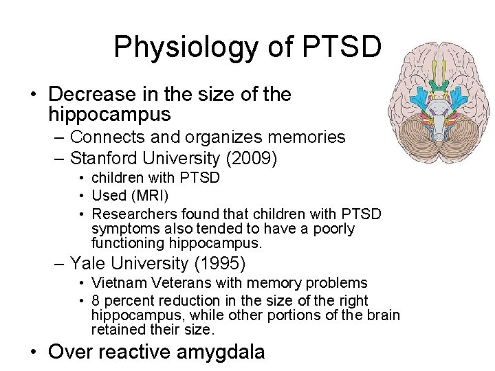 Physiology of PTSD • Decrease in the size of the hippocampus – Connects and Physiology of PTSD • Decrease in the size of the hippocampus – Connects and