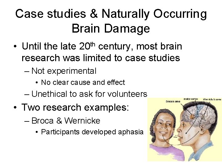 Case studies & Naturally Occurring Brain Damage • Until the late 20 th century, Case studies & Naturally Occurring Brain Damage • Until the late 20 th century,