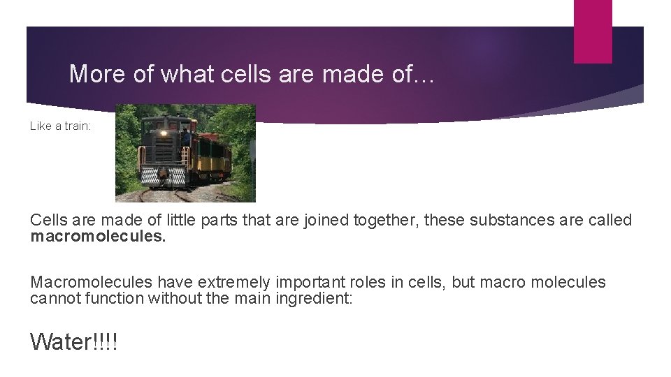 More of what cells are made of… Like a train: Cells are made of