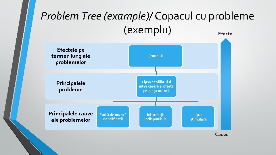 Problem Tree (example)/ Copacul cu probleme (exemplu) Efectele pe termen lung ale problemelor Şomajul