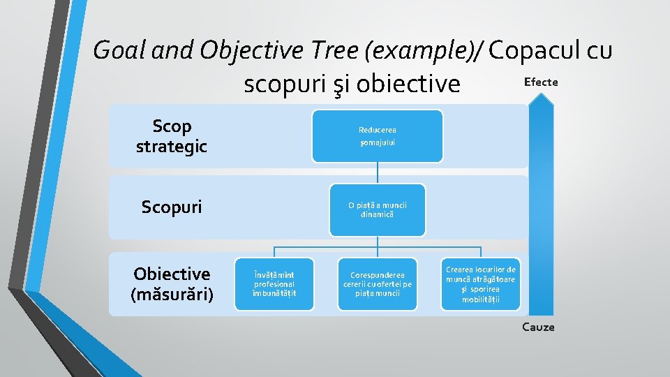 Goal and Objective Tree (example)/ Copacul cu Efecte scopuri şi obiective Scop strategic Reducerea