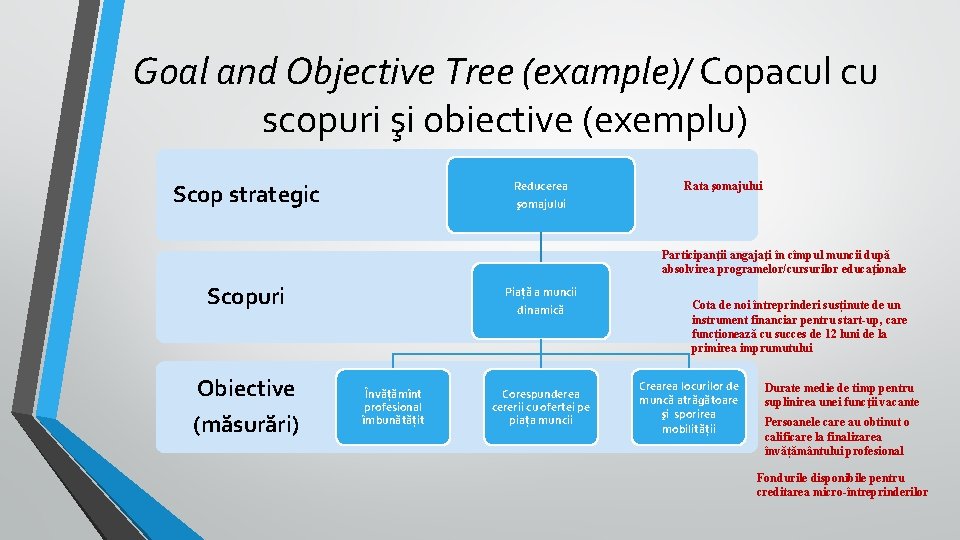 Goal and Objective Tree (example)/ Copacul cu scopuri şi obiective (exemplu) Reducerea Scop strategic Goal and Objective Tree (example)/ Copacul cu scopuri şi obiective (exemplu) Reducerea Scop strategic