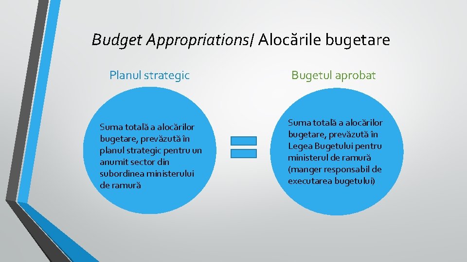 Budget Appropriations/ Alocările bugetare Planul strategic Bugetul aprobat Suma totală a alocărilor bugetare, prevăzută