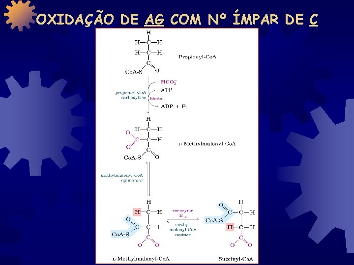 OXIDAÇÃO DE AG COM Nº ÍMPAR DE C 