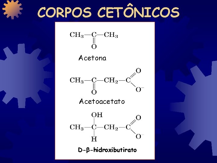 CORPOS CETÔNICOS Acetona Acetoacetato D- -hidroxibutirato 