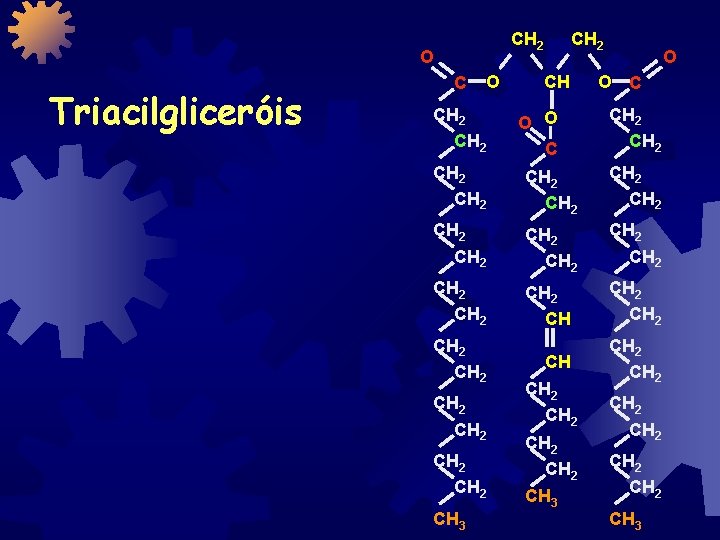 CH 2 O Triacilgliceróis C O CH 2 CH-2 CH O O C CH