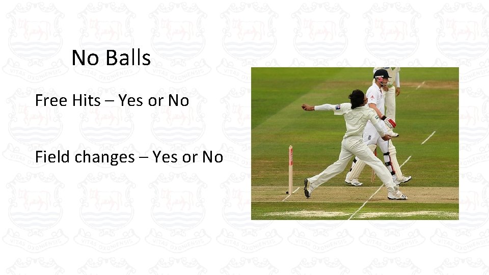 No Balls Free Hits – Yes or No Field changes – Yes or No No Balls Free Hits – Yes or No Field changes – Yes or No