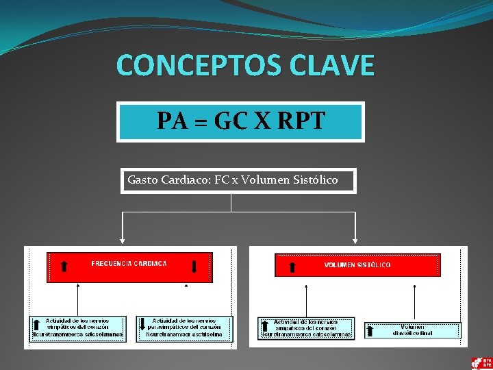 CONCEPTOS CLAVE PA = GC X RPT Gasto Cardiaco: FC x Volumen Sistólico 