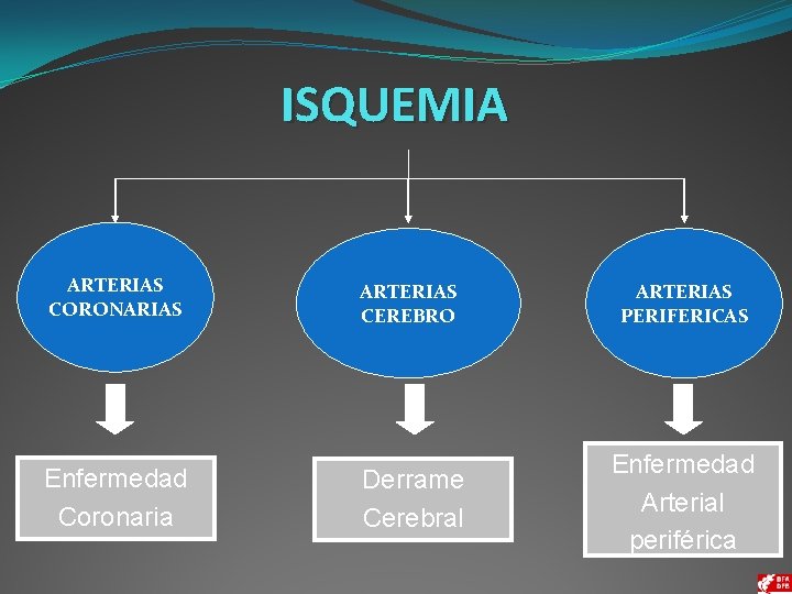 ISQUEMIA ARTERIAS CORONARIAS Enfermedad Coronaria ARTERIAS CEREBRO ARTERIAS PERIFERICAS Derrame Cerebral Enfermedad Arterial periférica