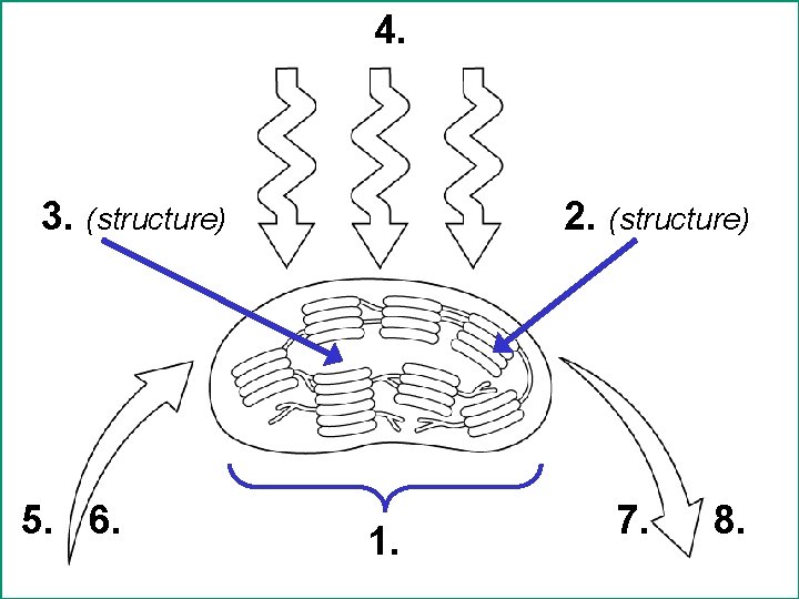 4. 3. (structure) 5. 6. 2. (structure) 1. 7. 8. 