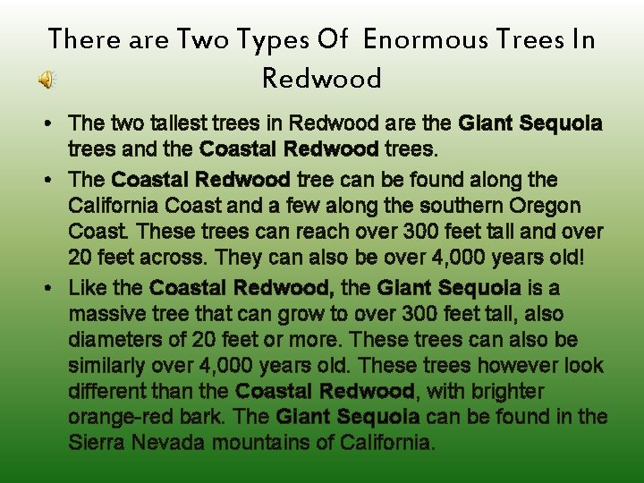 There are Two Types Of Enormous Trees In Redwood • The two tallest trees