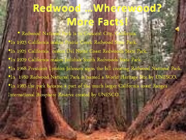 Redwood …Wherewood? Ha More Facts! • Redwood National Park is in Crescent City, California.