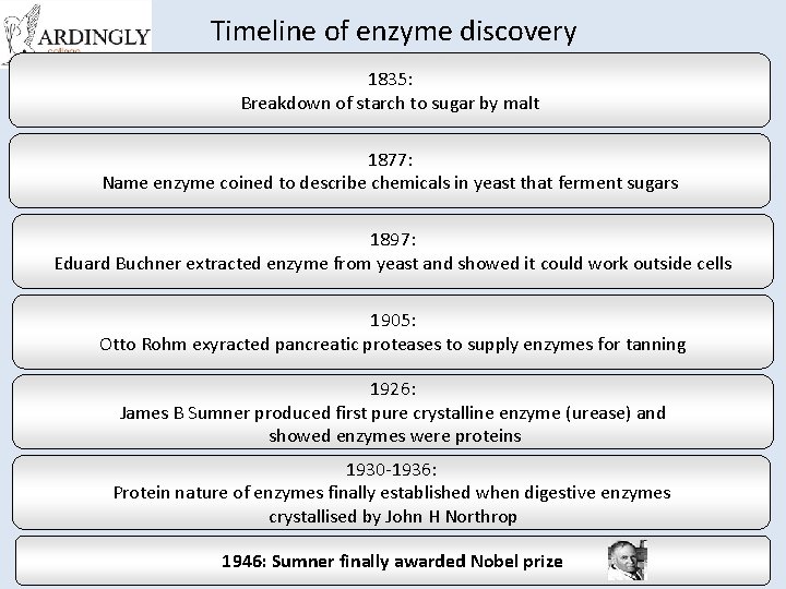 Timeline of enzyme discovery 1835: Breakdown of starch to sugar by malt 1877: Name
