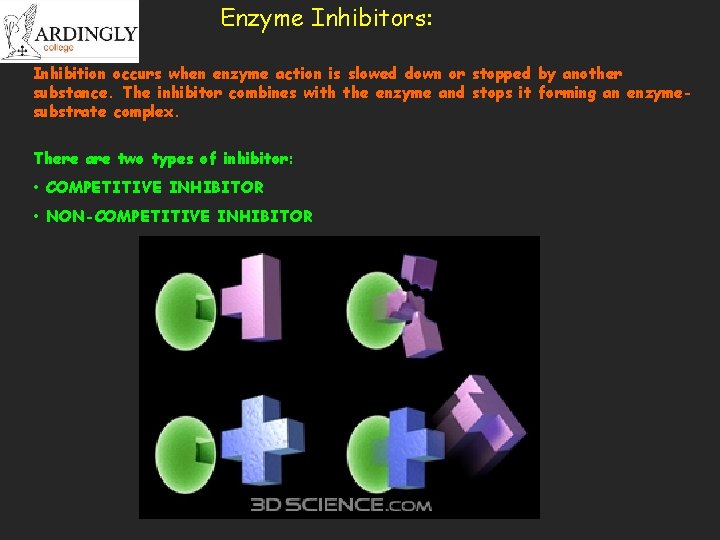 Enzyme Inhibitors: Inhibition occurs when enzyme action is slowed down or stopped by another