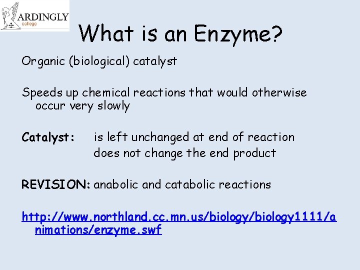What is an Enzyme? Organic (biological) catalyst Speeds up chemical reactions that would otherwise