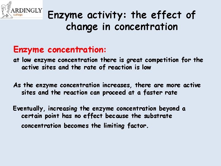 Enzyme activity: the effect of change in concentration Enzyme concentration: at low enzyme concentration