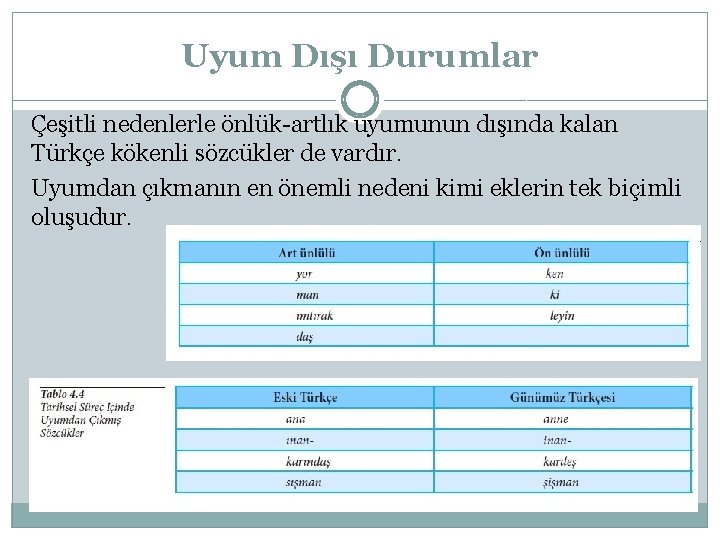 Uyum Dışı Durumlar Çeşitli nedenlerle önlük-artlık uyumunun dışında kalan Türkçe kökenli sözcükler de vardır.