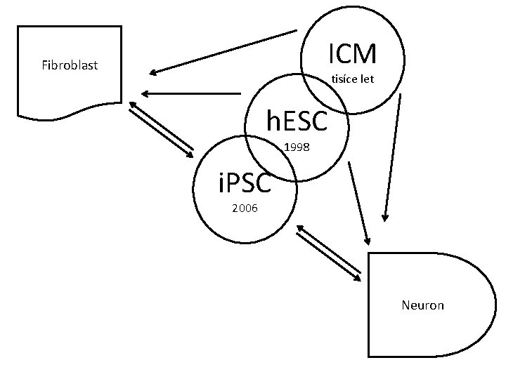 ICM Fibroblast tisíce let h. ESC 1998 i. PSC 2006 Neuron 